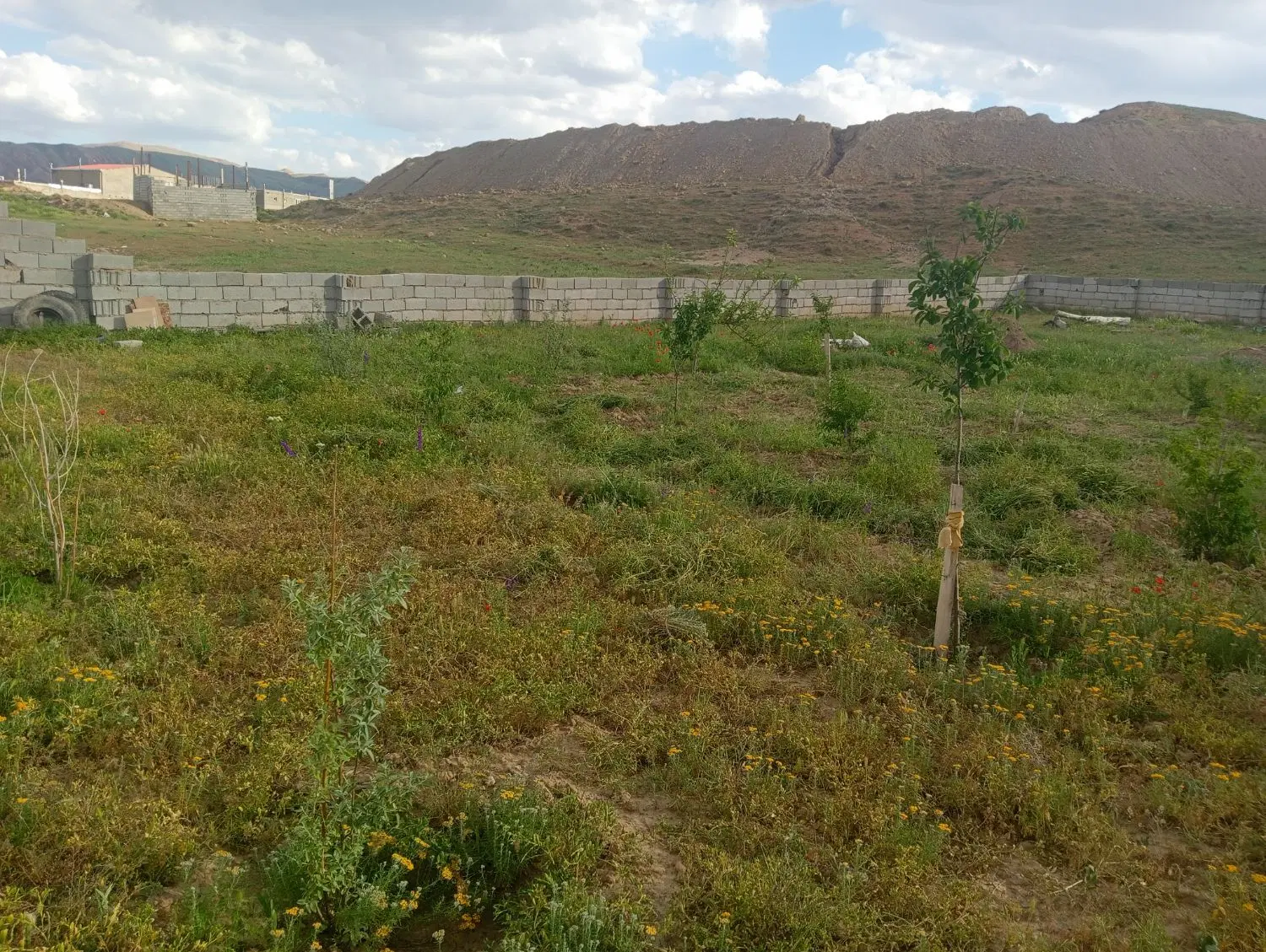 فروش زمین در ملک کیان