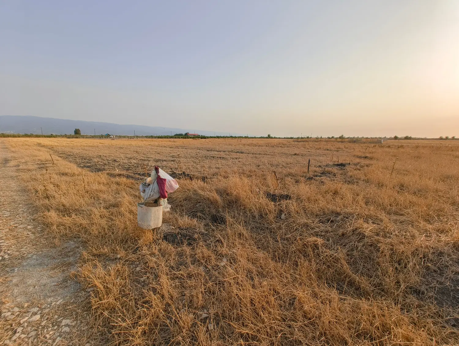 ۲۵۰ متر زمین قبل روستای امام ده