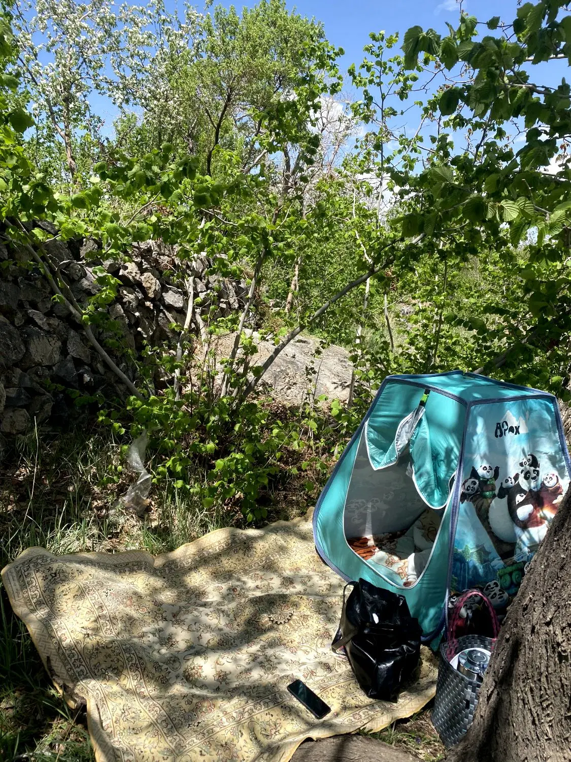 زمین ۶۰۰متر وشنوه
