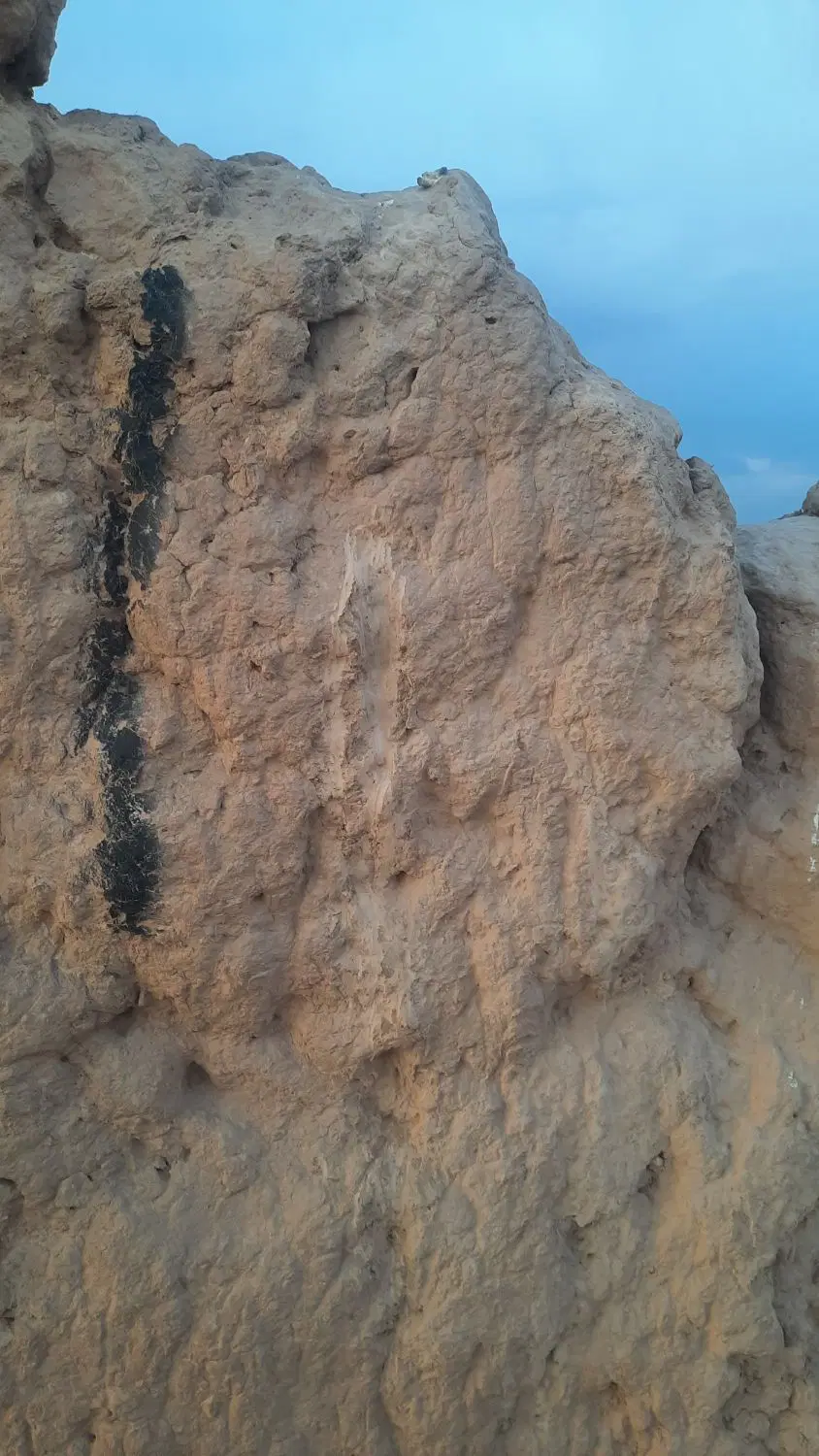 زمین فروشی