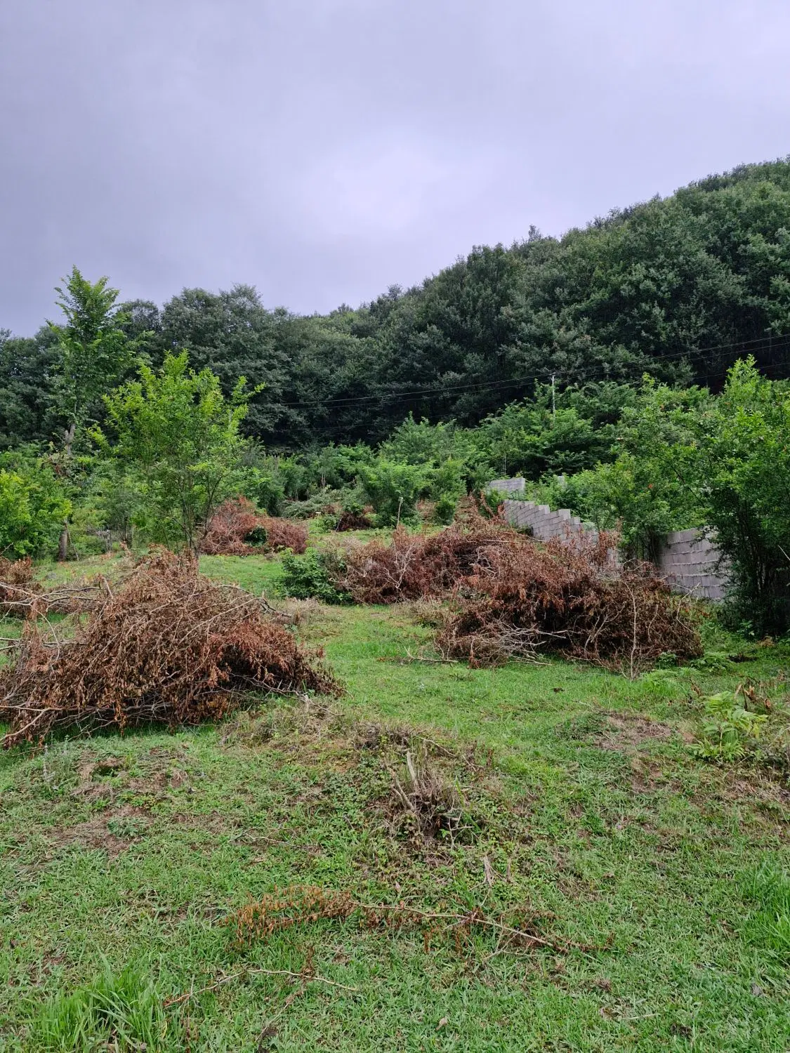 زمین مسکونی