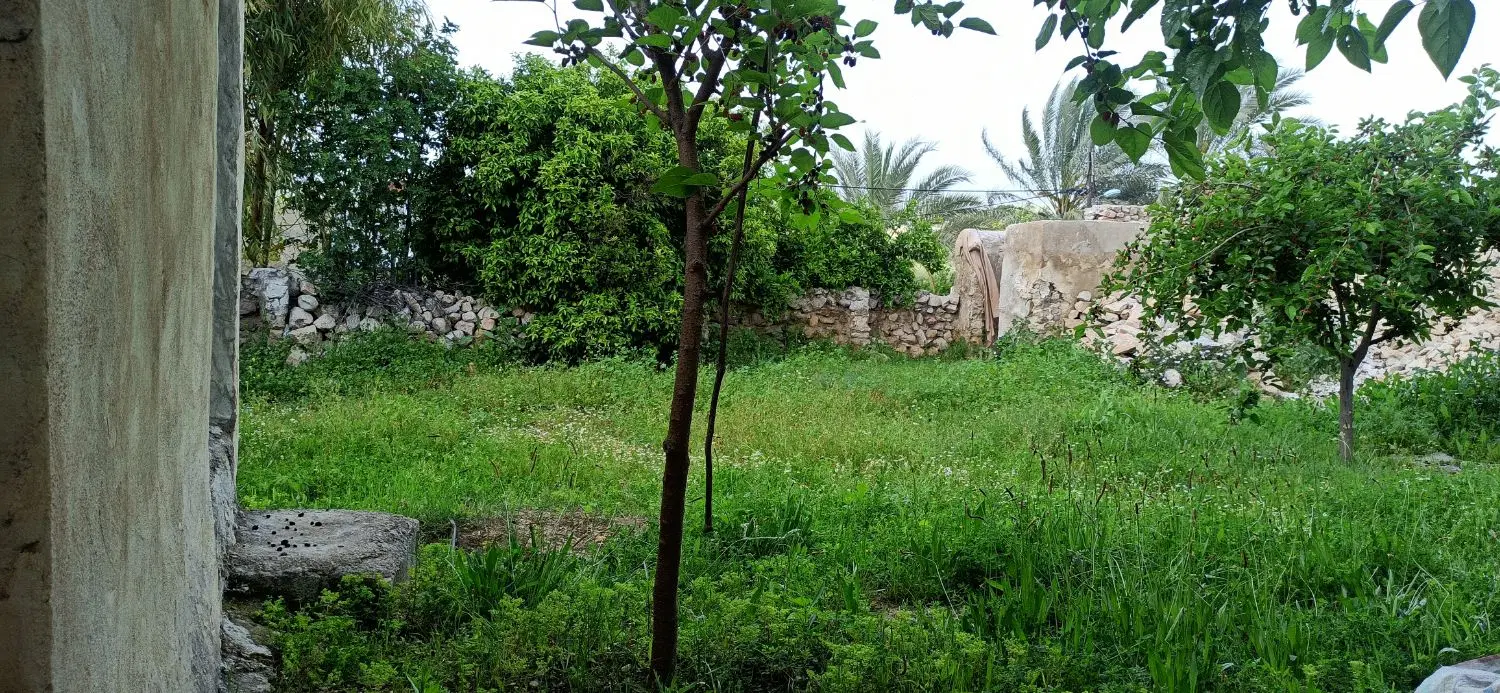 زمین مسکونی مناسب باغچه ویلا