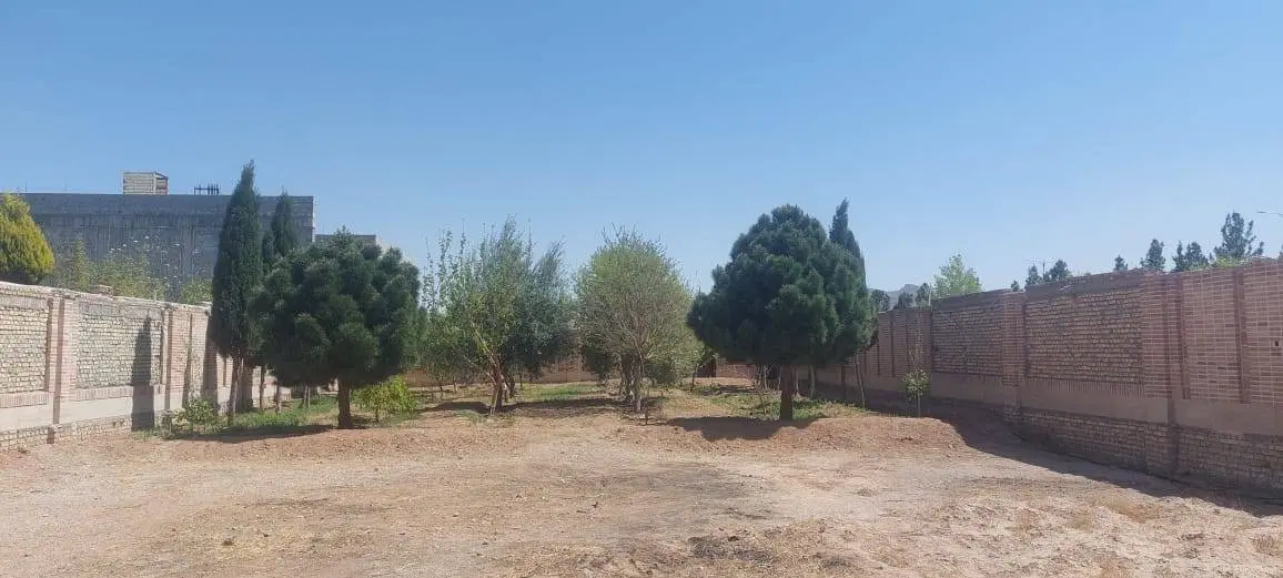 زمین کاریزلند در یکی از بهترین خیابان های فاز یک