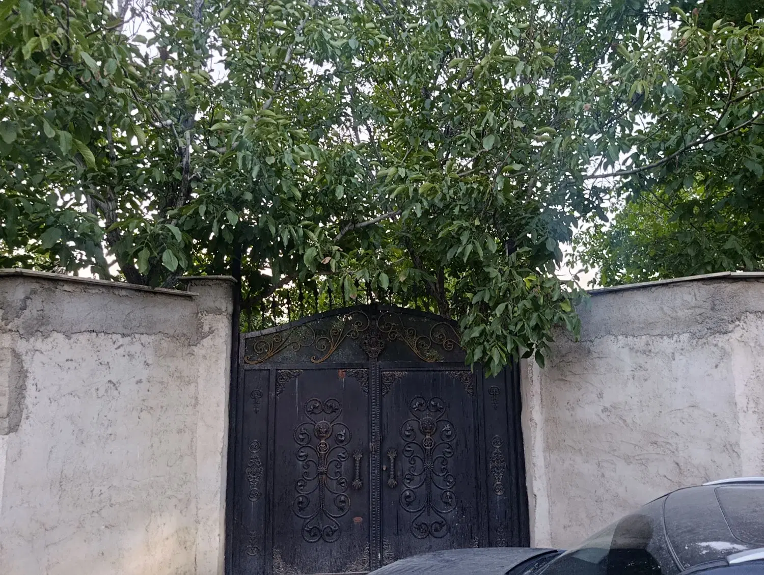 باغچه ۵۰۰ متری