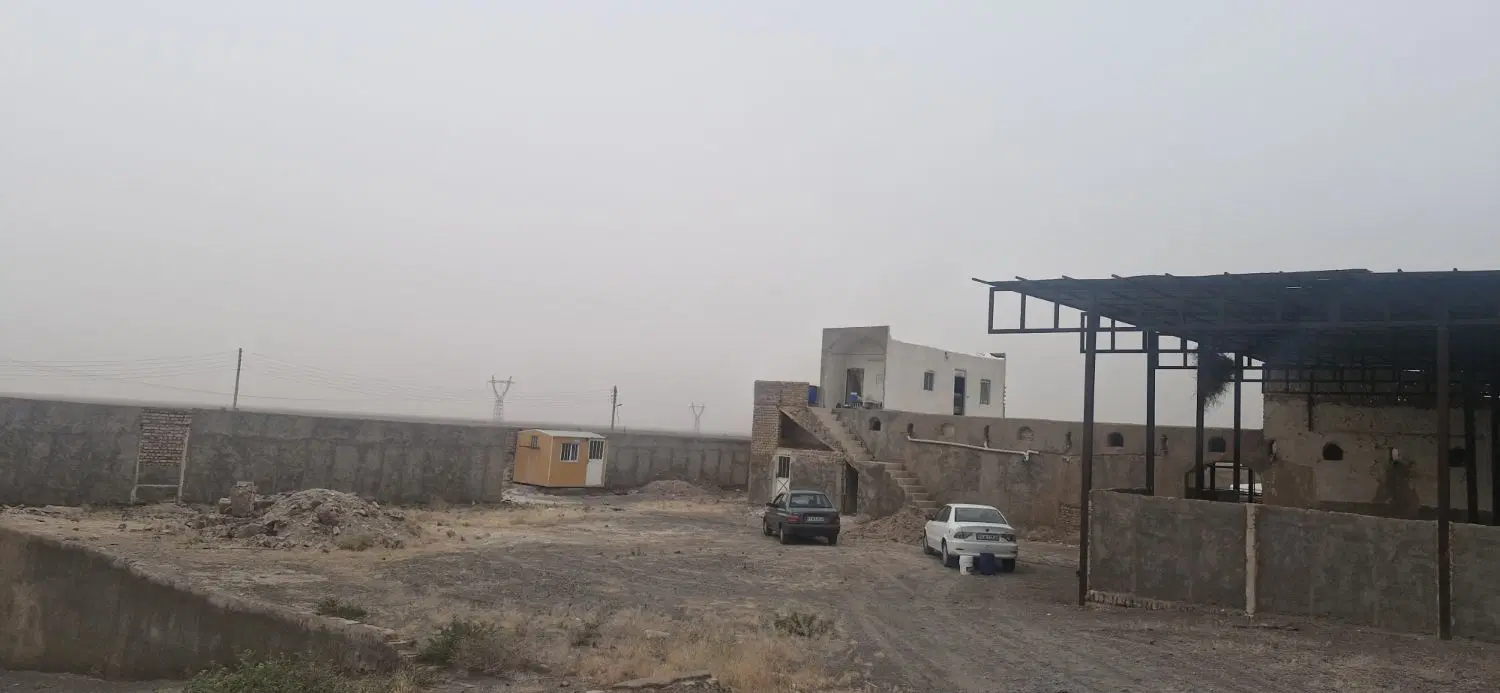 دامداری شیری وگوشتی