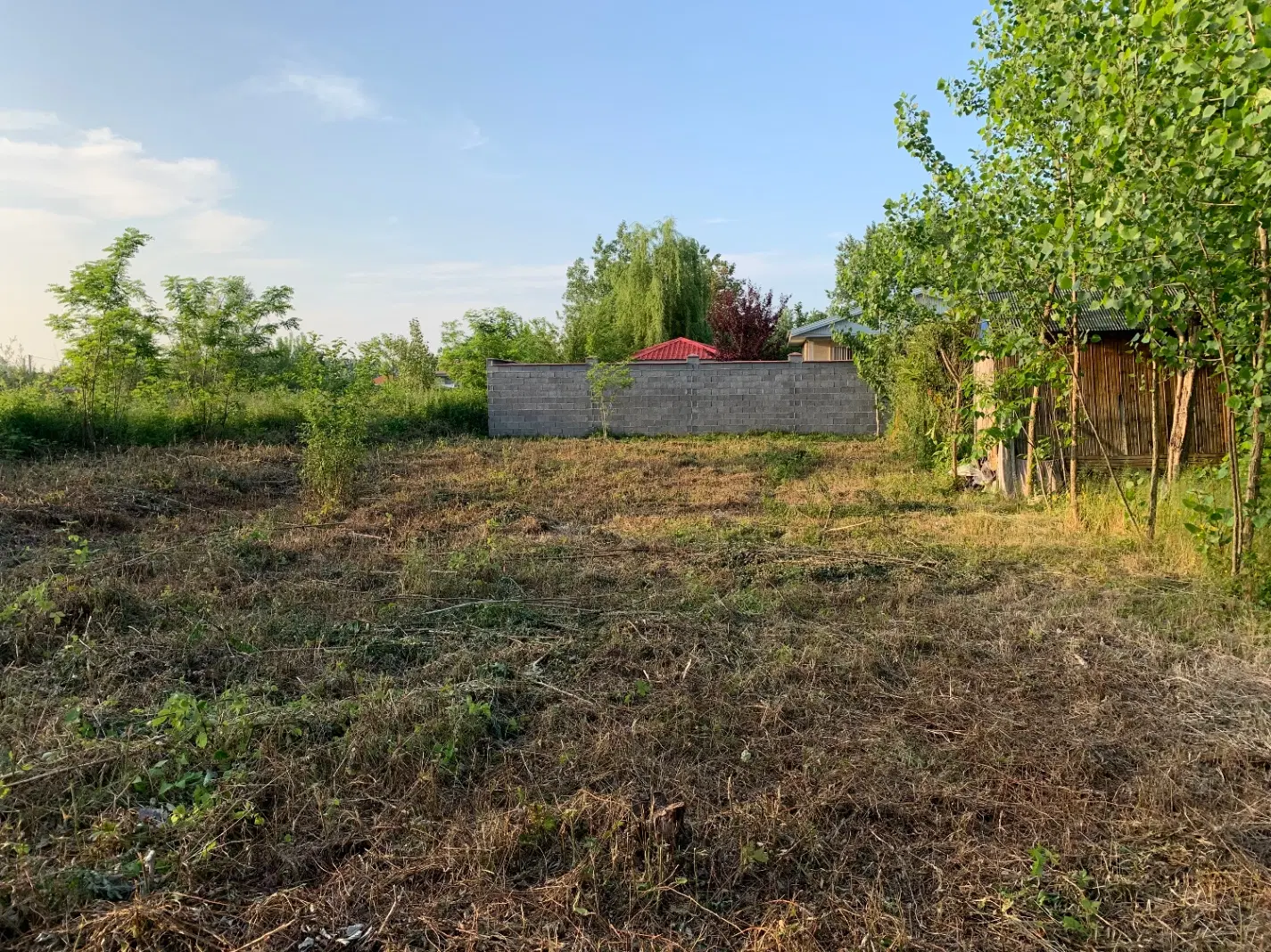 زمین منگوده_باغی طرح هادی