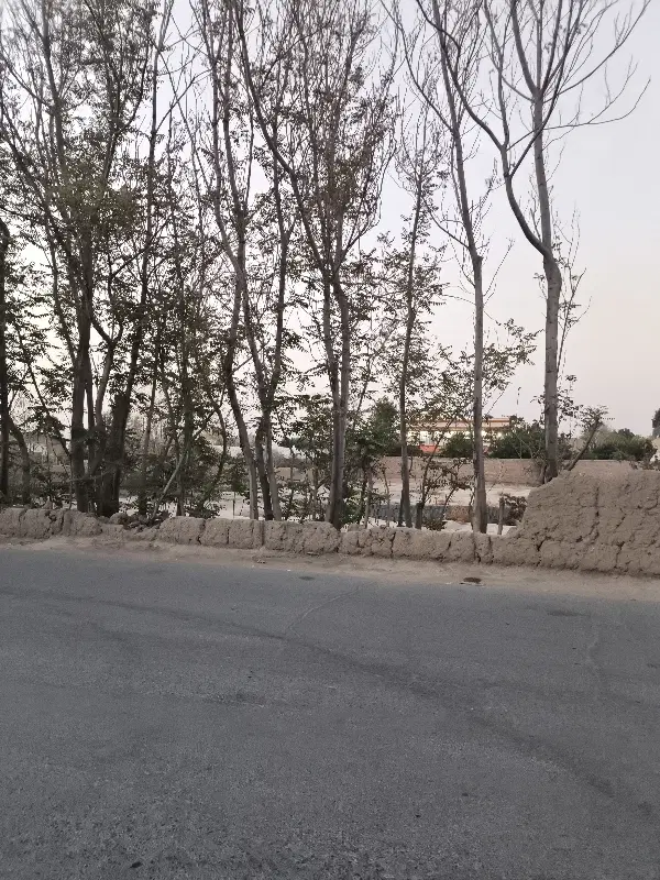 زمین ویلایی