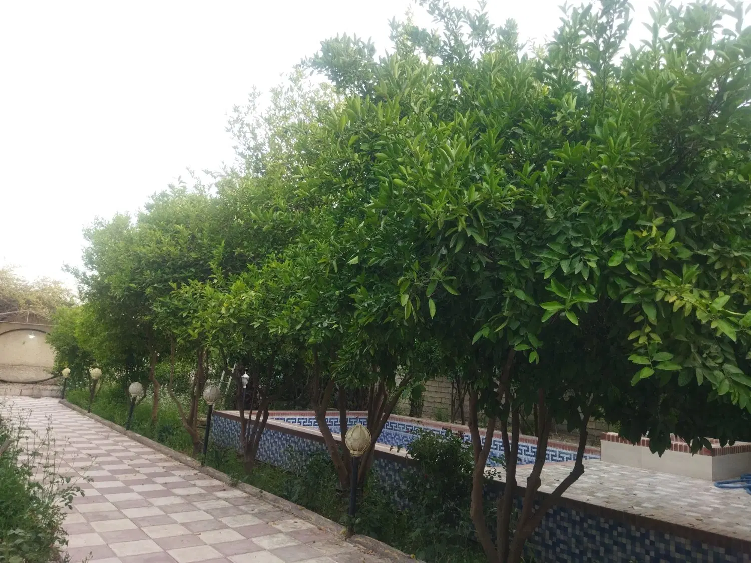 فروش ۳۶هکتار زمین کشاورزی  دیم