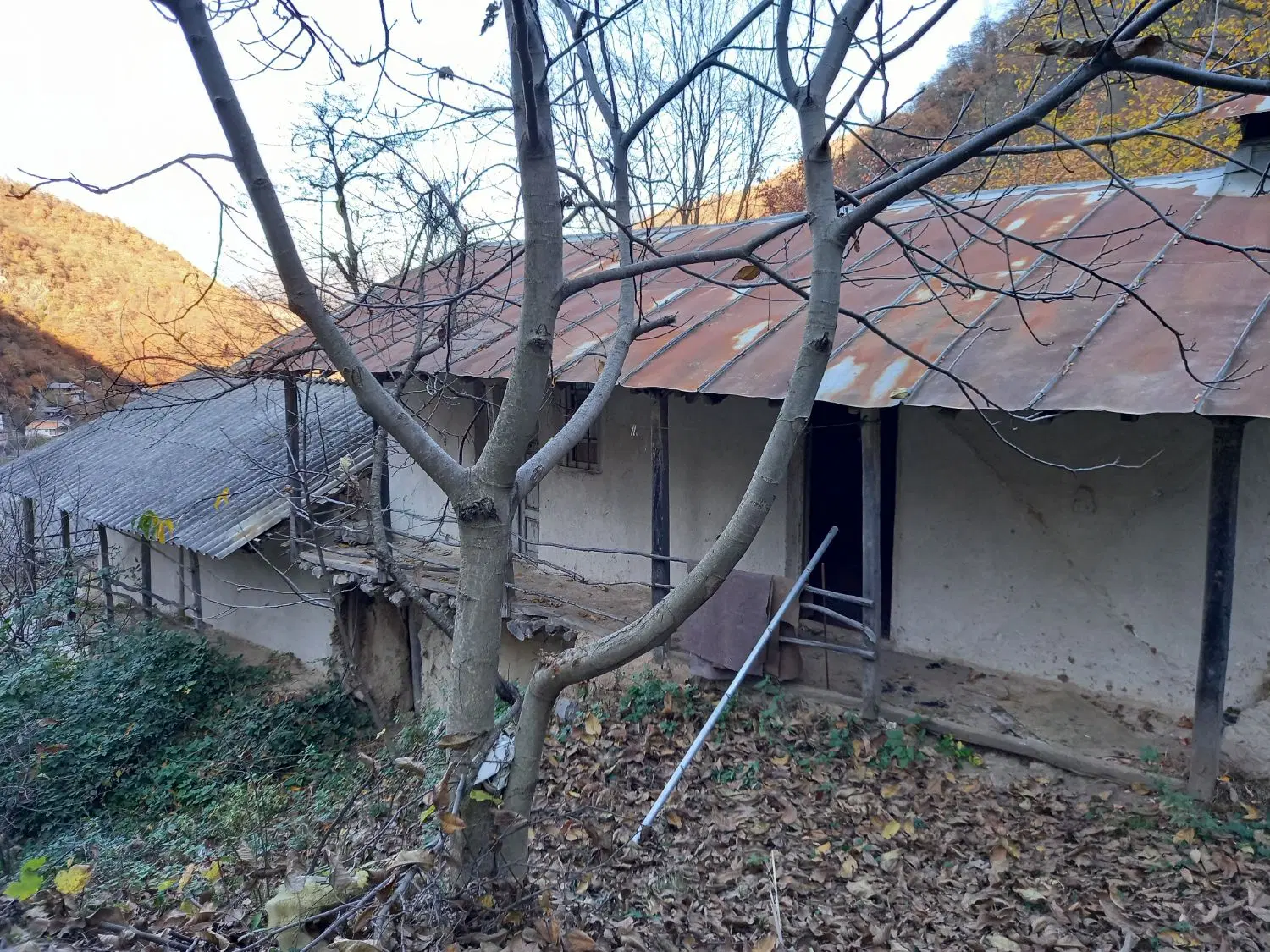 خانه جنگلی بدون مشرف ومزاحم جای ارام. خلیندره