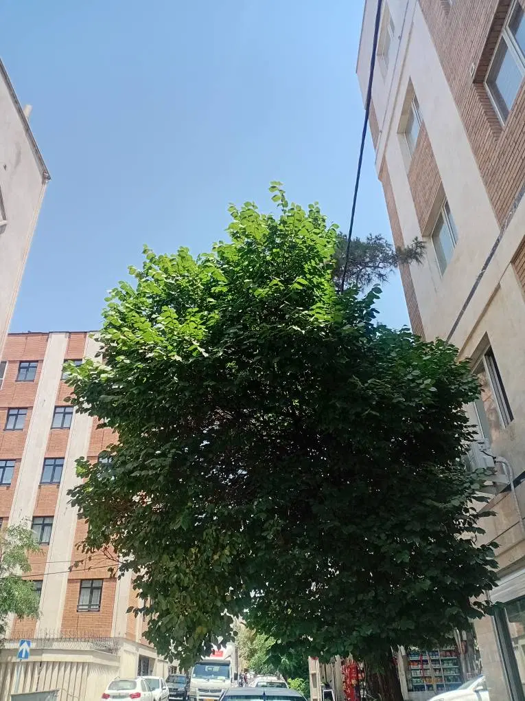 اپارتمان ۶۰متری یه خوابه در بخت ازاد