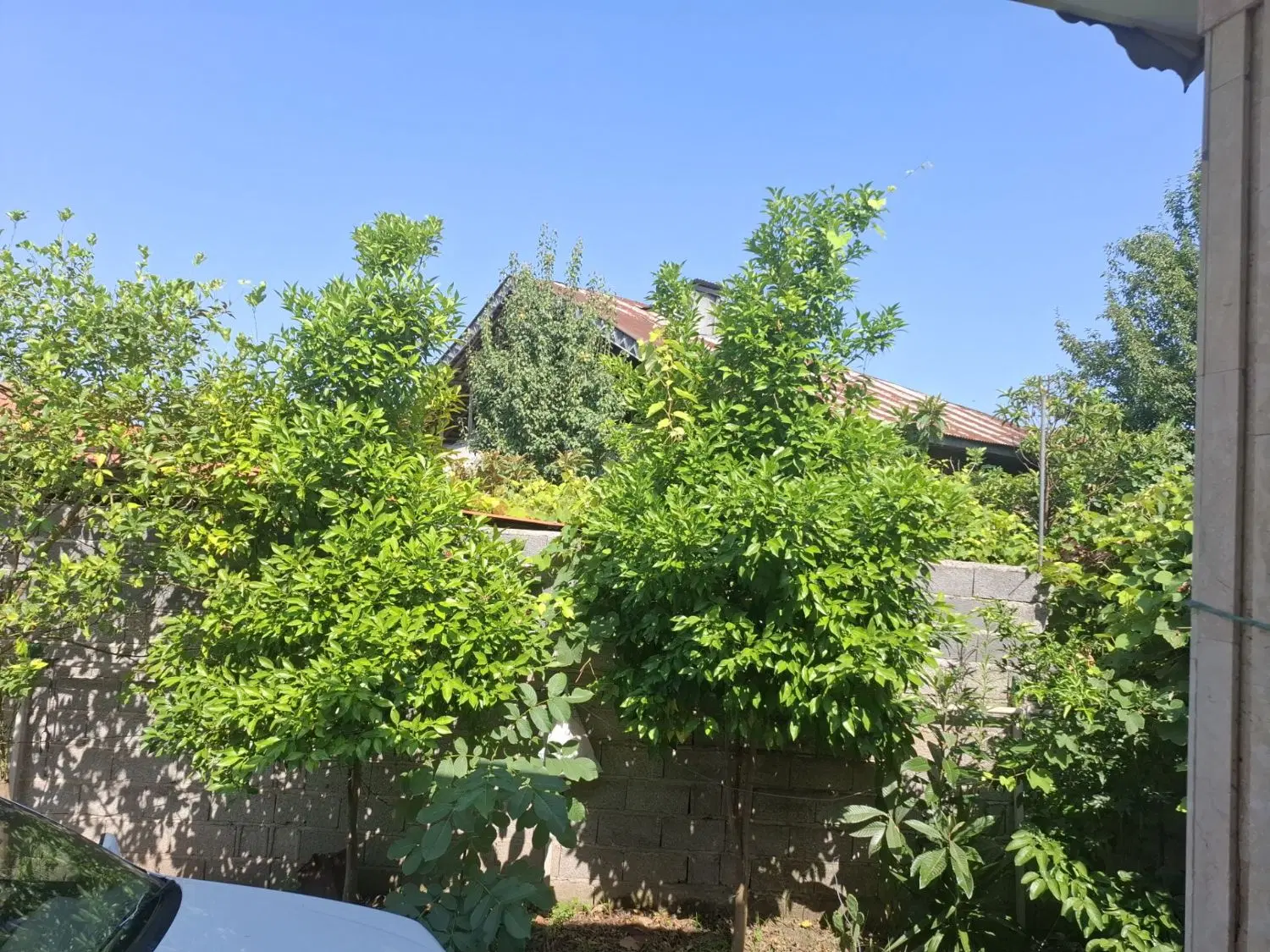 ویلای ۳۰۰متری