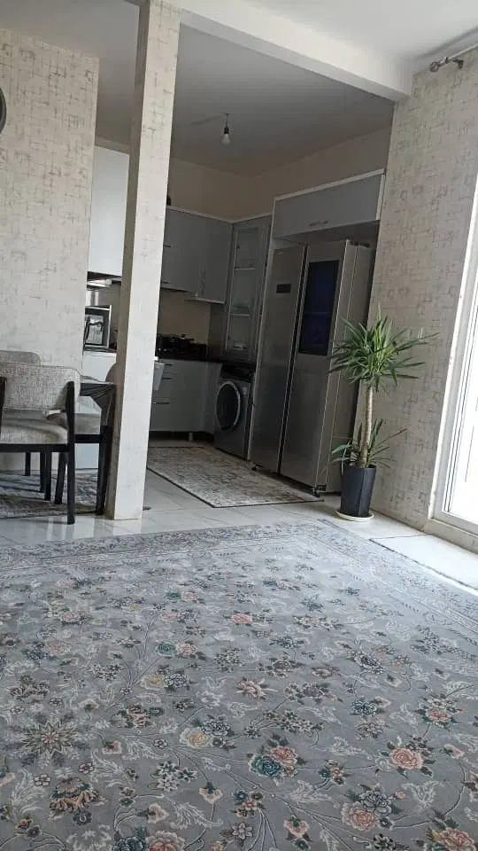 هم خانه خانم...