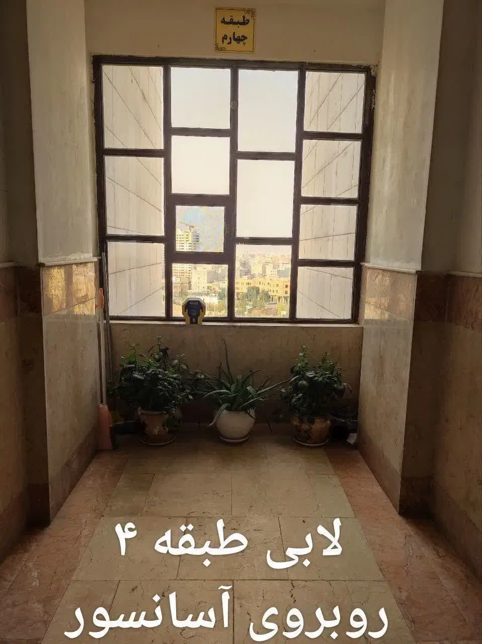 بنیاد. الهیه