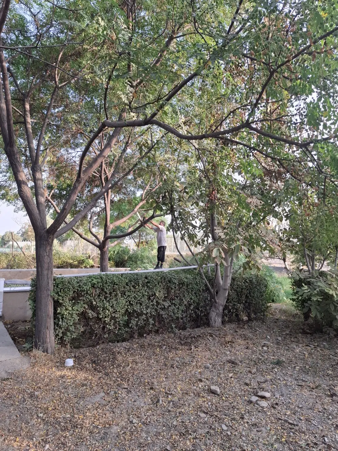 زمین زراعی با جای خواب