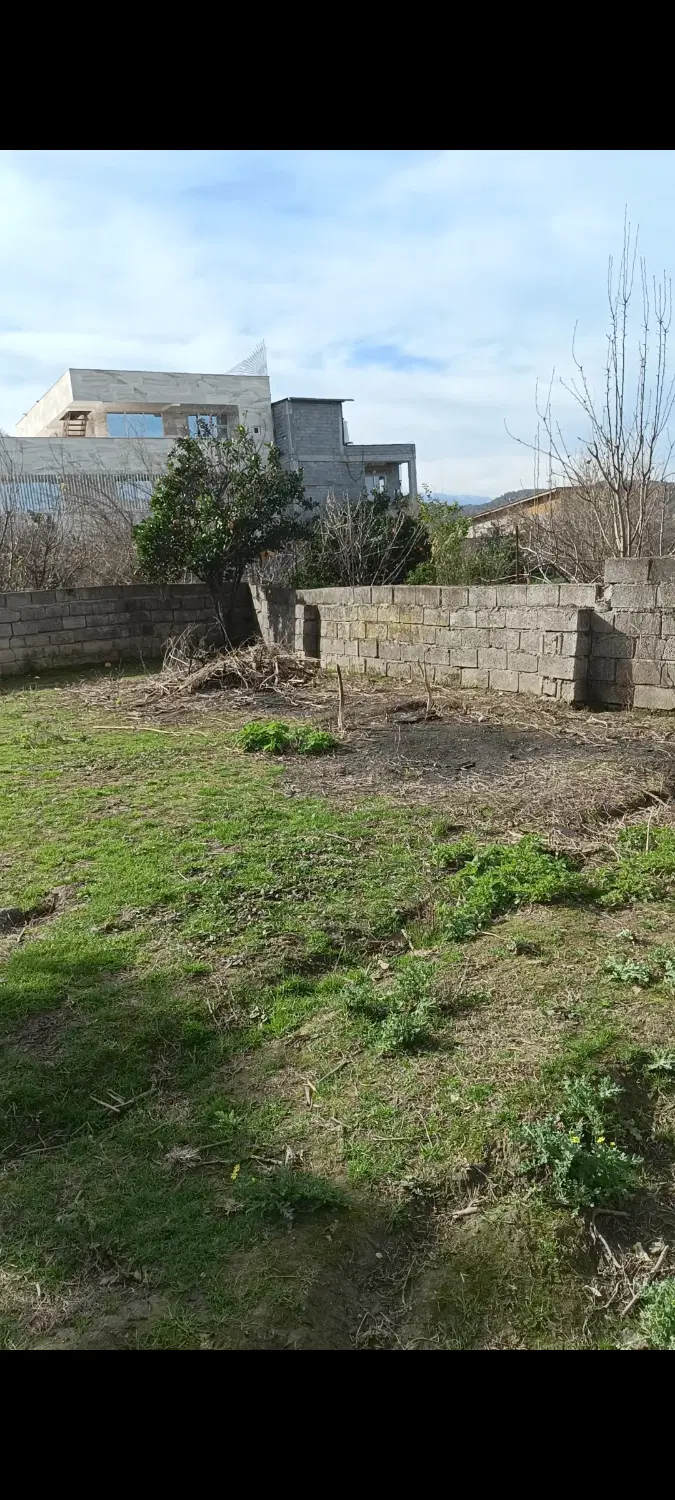 زمین روبه جنگل روستای شهنه کلا شهرآمل داخل بافت