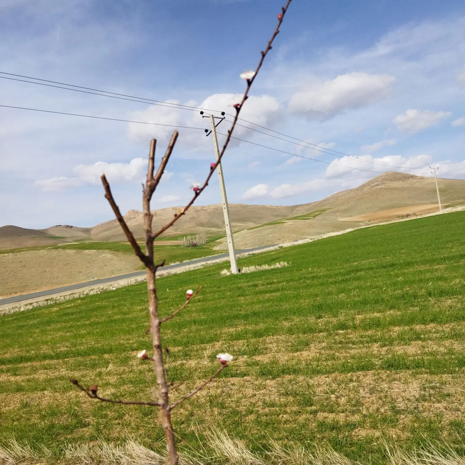 فروش زمین خانه باغ قیمت یارانه ایی