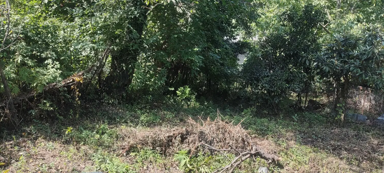 زمین مسکونی ۶۰۰متری