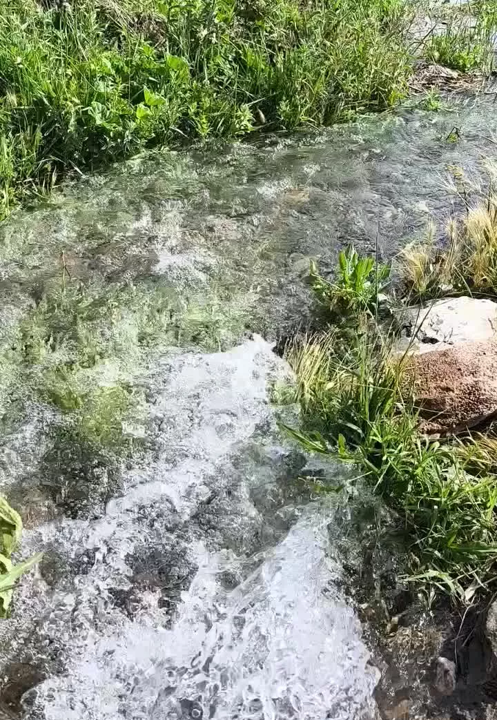 باغ فروشی