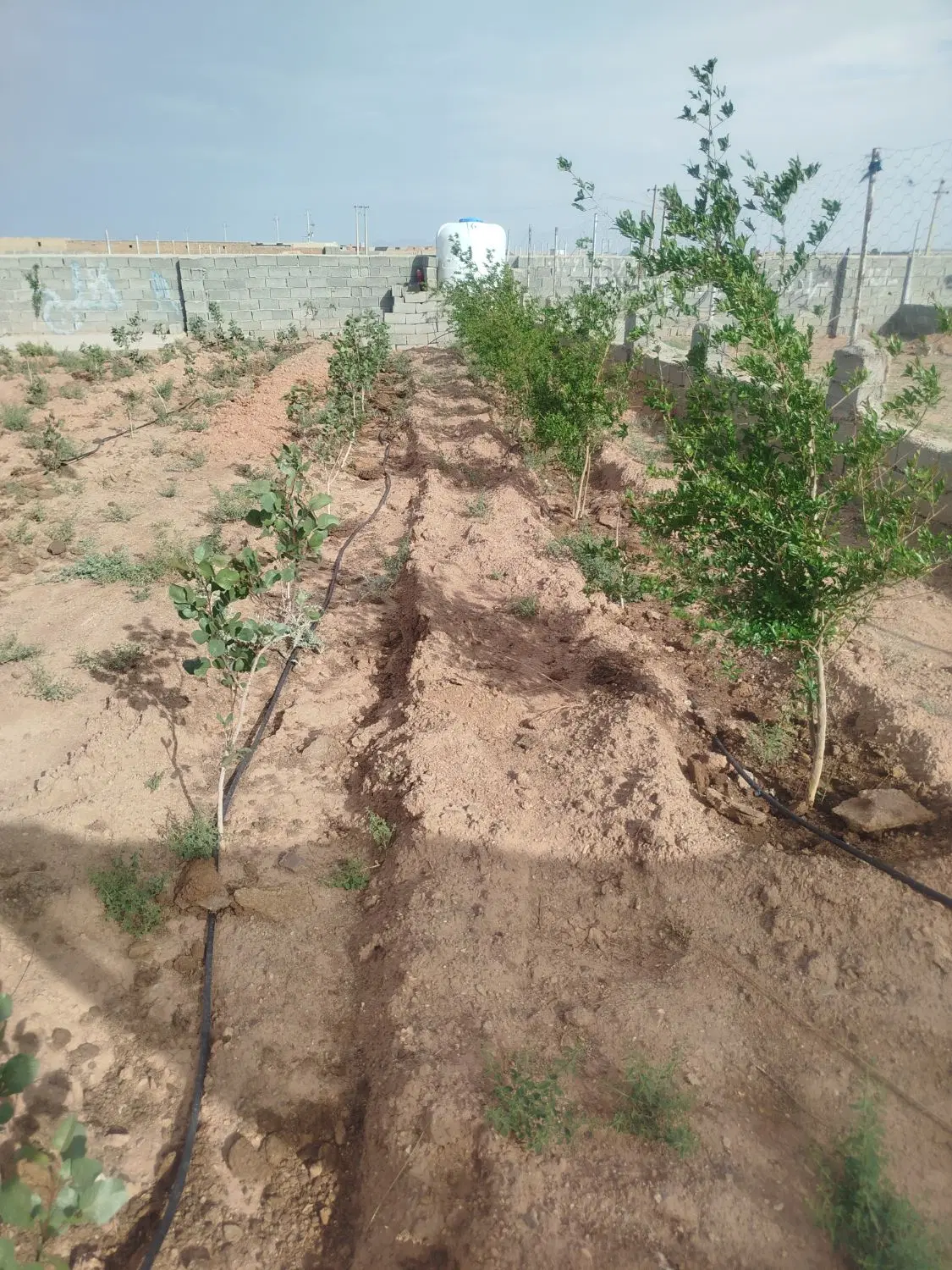 زمین باغی شهرکی