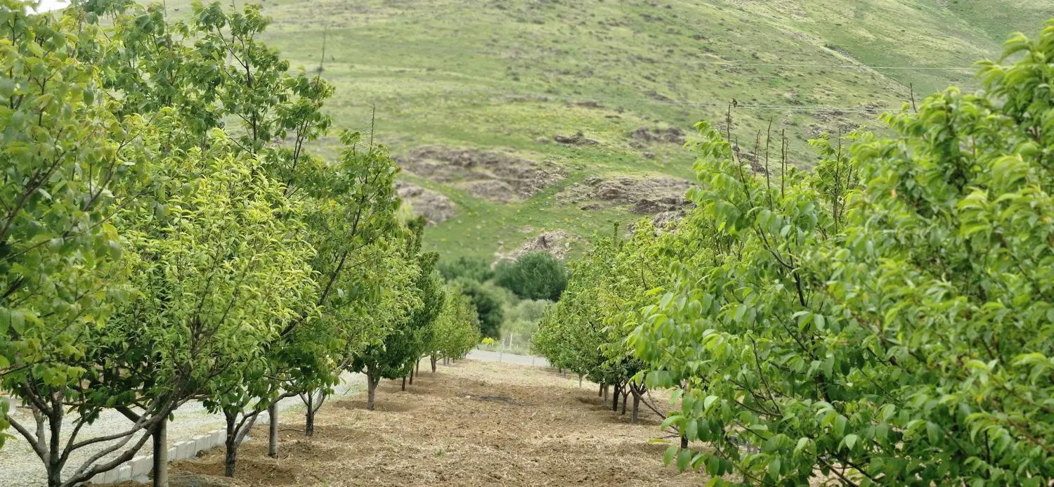 خانه باغ جاده کانی نیاز