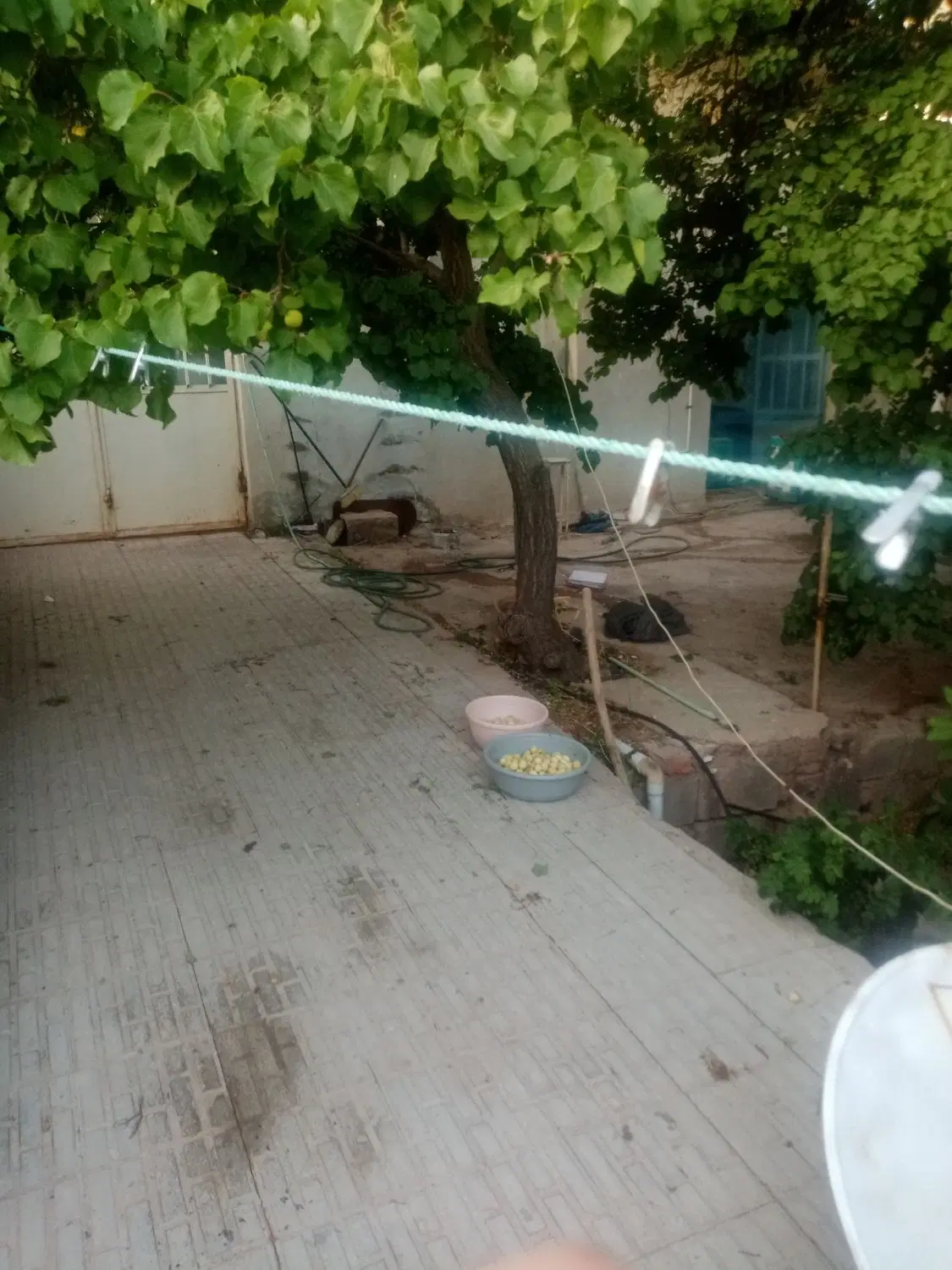 خانه باغ