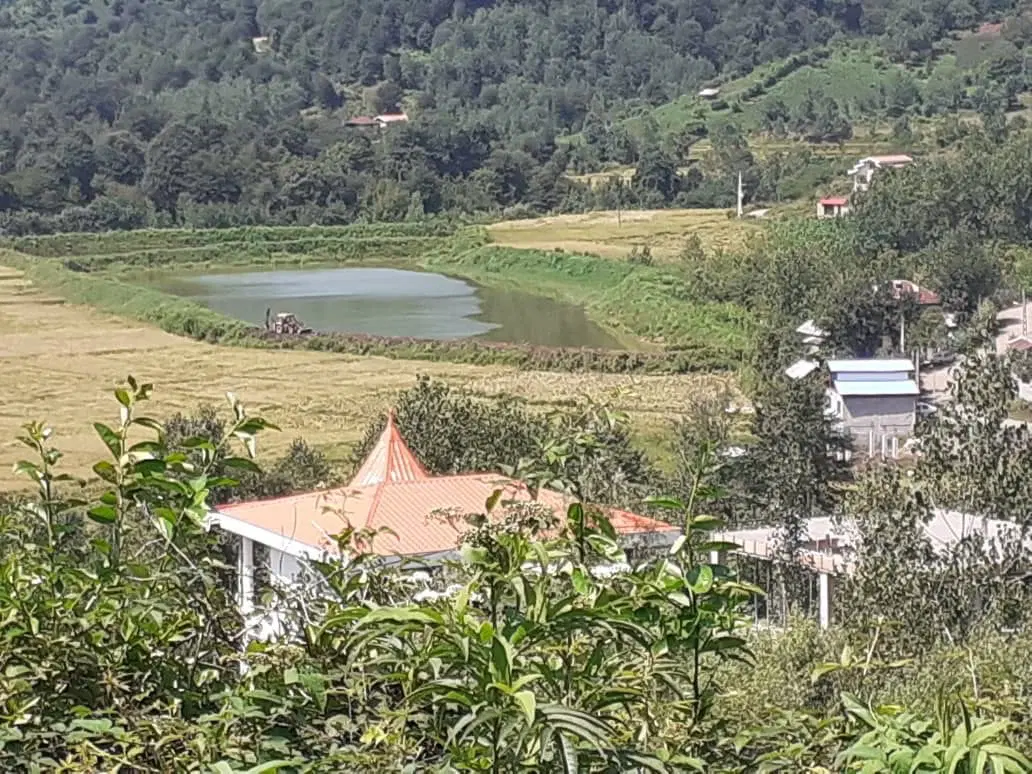 زمین باغی ۱۶۰۰ متر گیلان