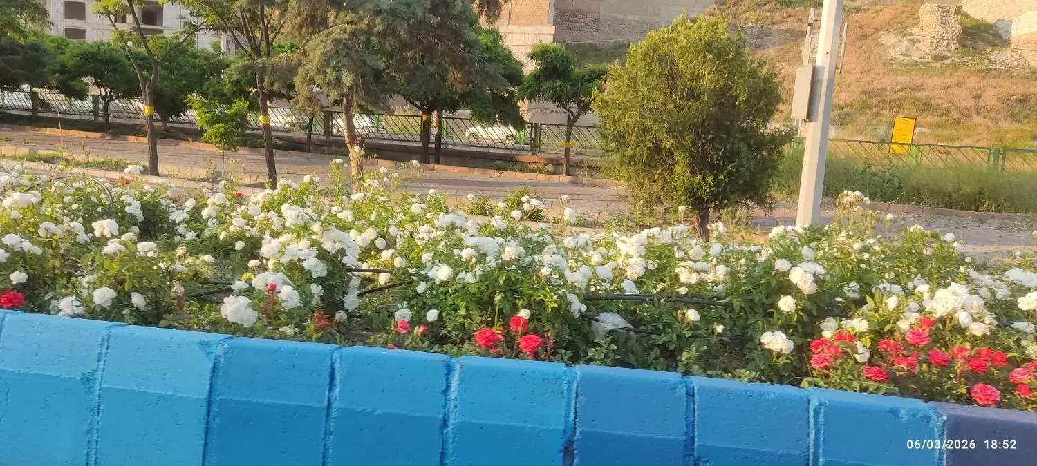 فروش ملک کلنگی بر خیابان