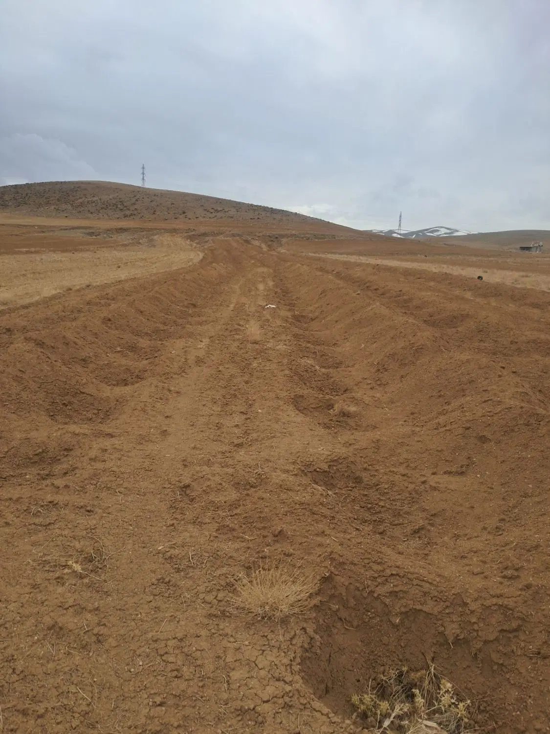 زمین کشاورزی