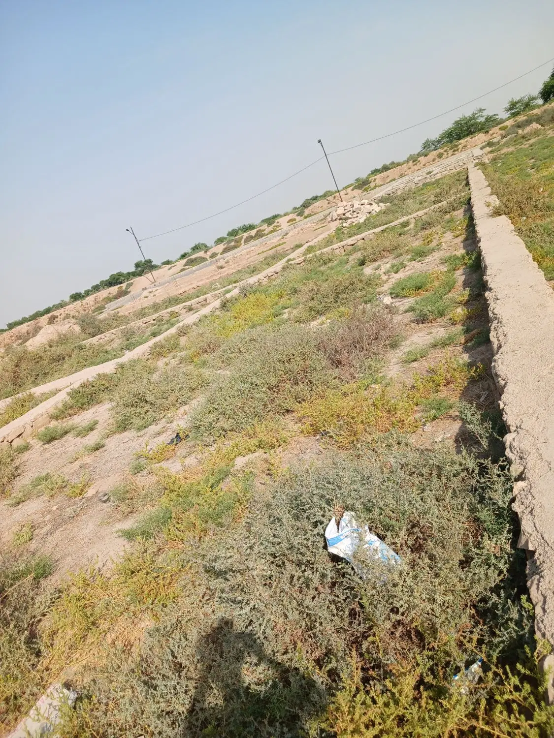 زمین ۲۰۰ متر در ام اتمیر نخل ۱۳