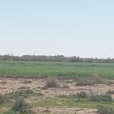 زمین کشاورزی70هکتار ایجار می دهم