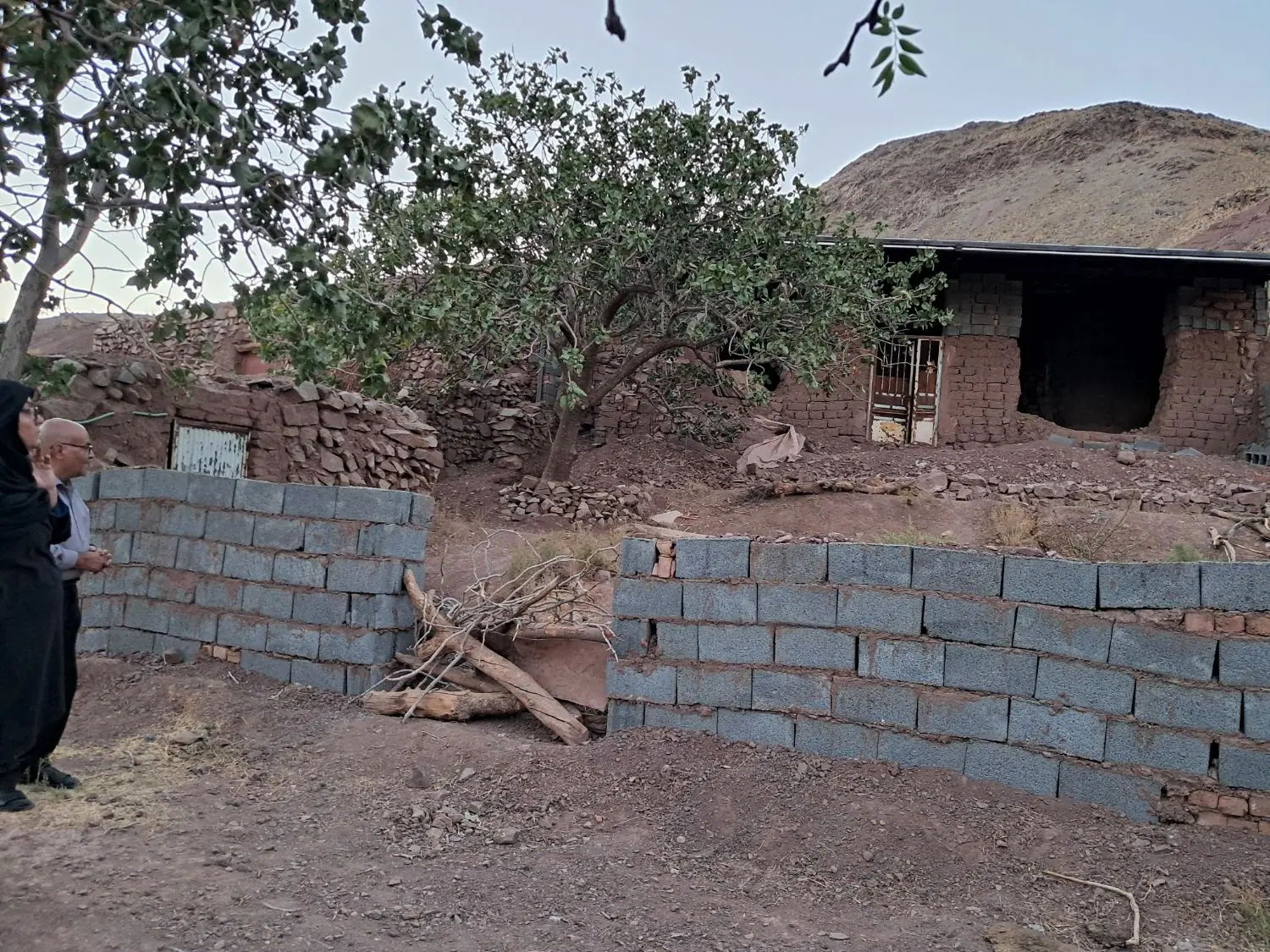 زمین