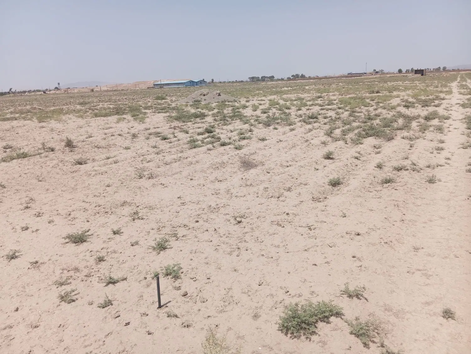 سه قطعه زمین 500 متری