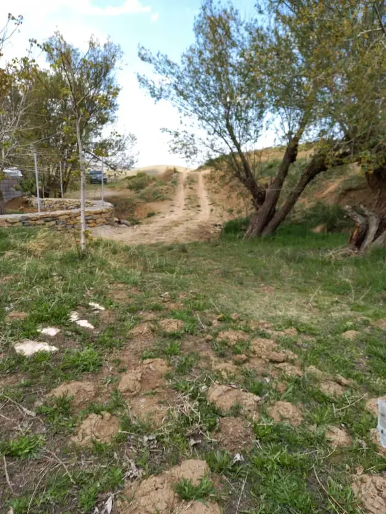 باغ کوچک قیمت مناسب ، ورکانه