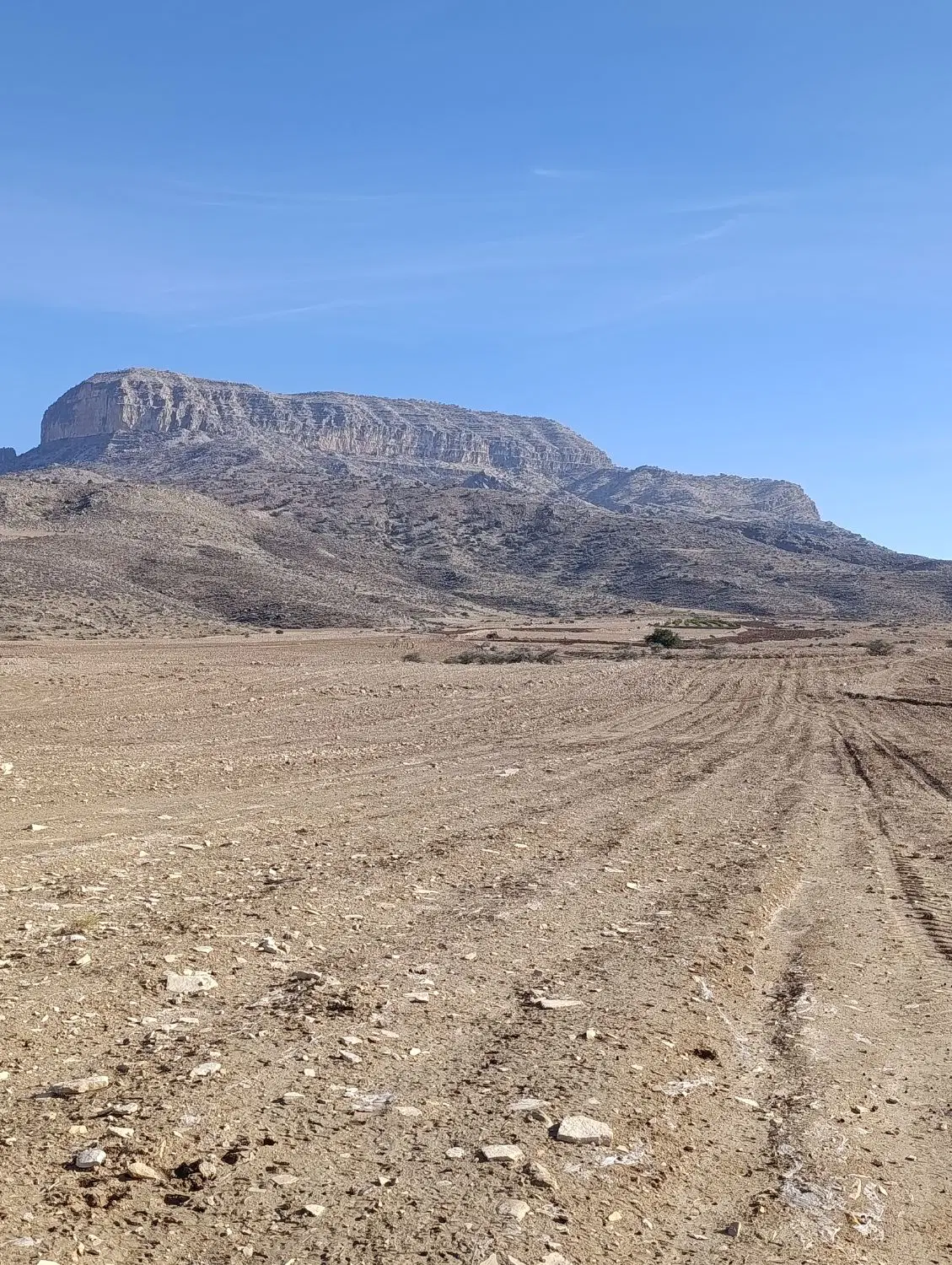فروش زمین