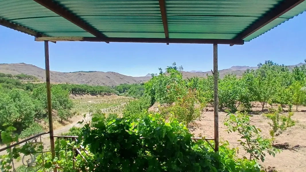۸۰۰متر باغ بر کمر بندی سامان