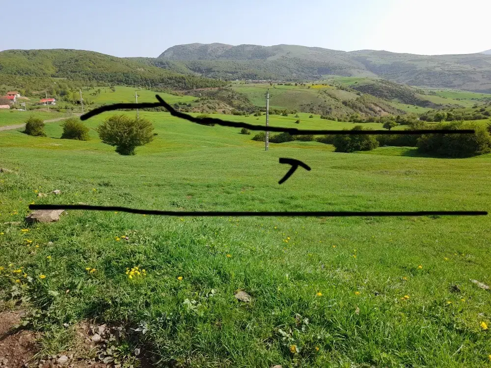 فروش زمین کشاورزی.