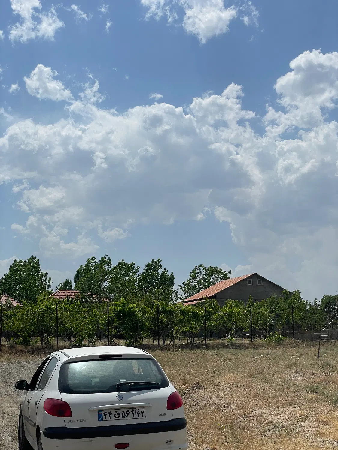 زمین شاندیز