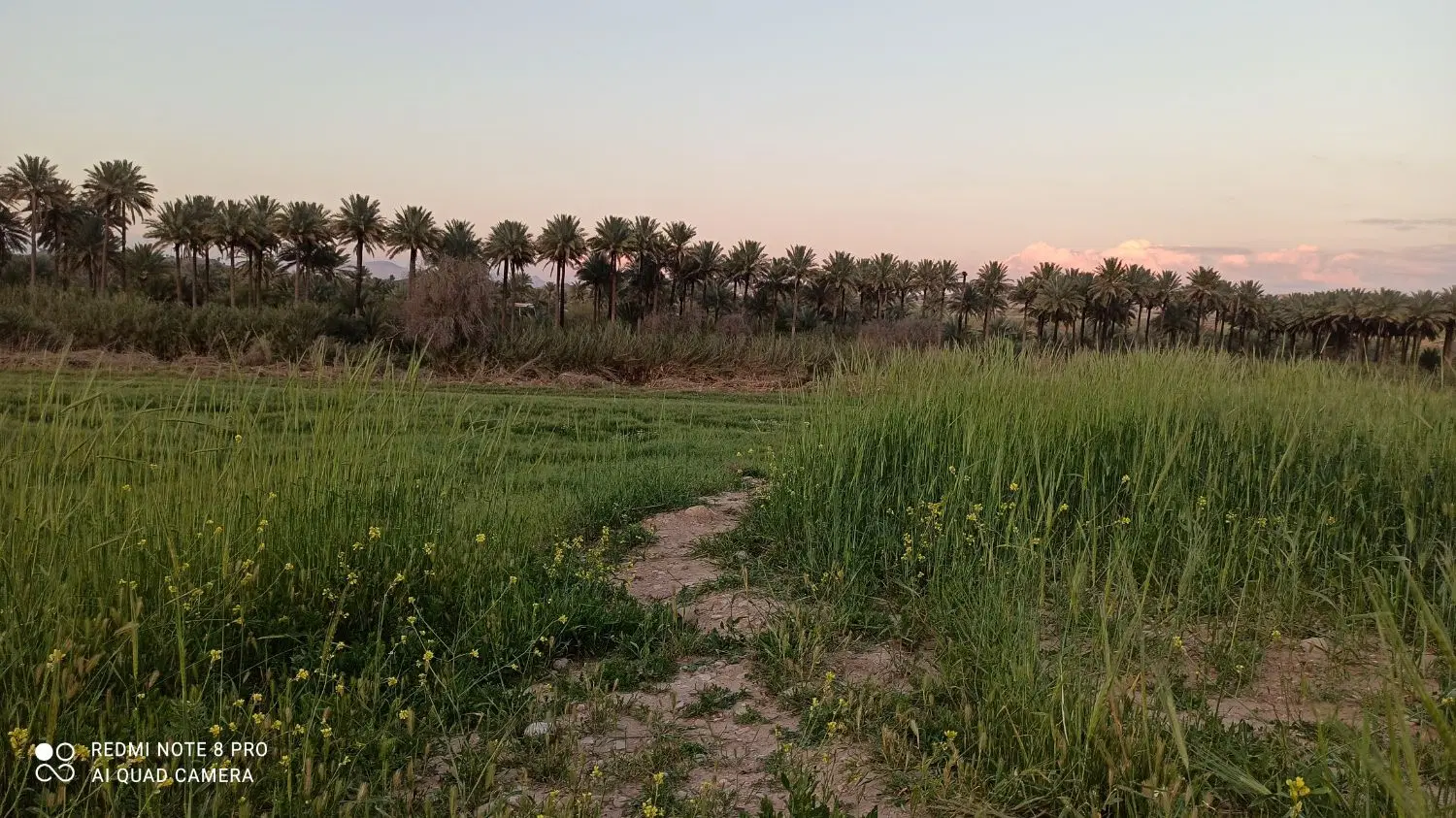 زمین مسکونی رشید عباس