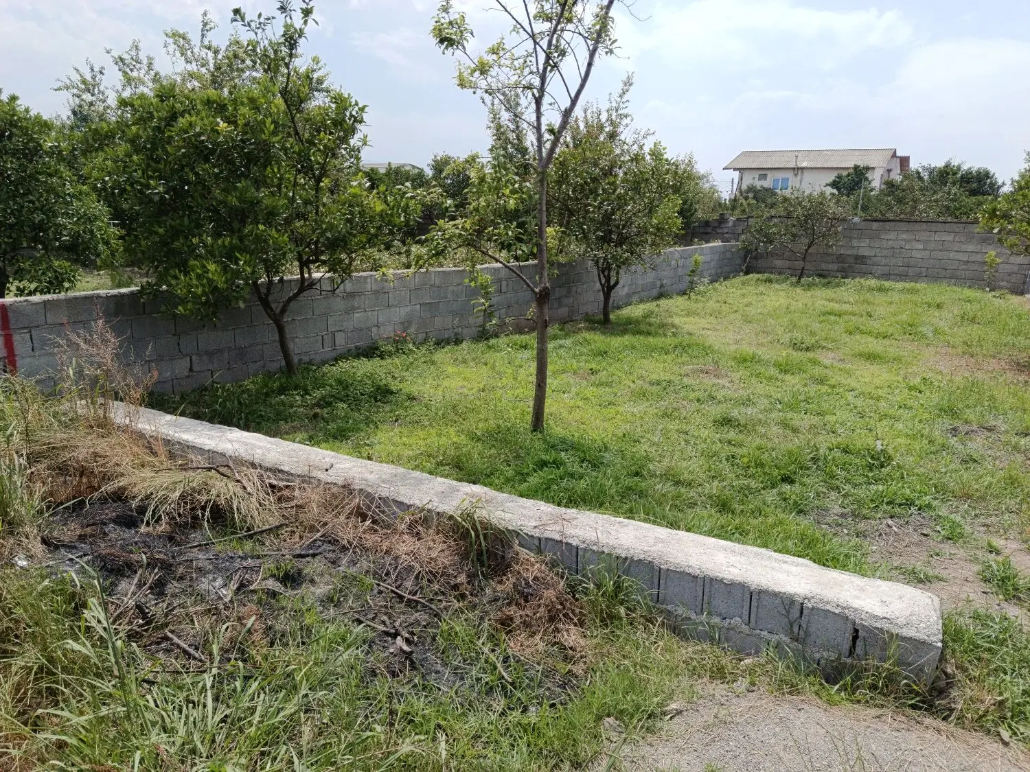 زمین سند دار مازندران آمل روستای بندپی