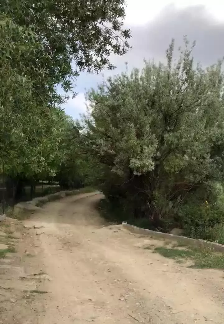 باصفاترین باغ سیمین وهنان زاغه