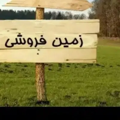 زمین برای فروشی