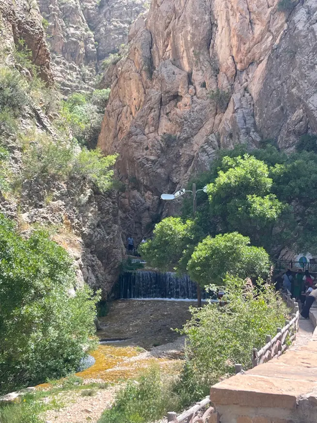 زمین چشمه طوطی با پروانه سند ششدانگ