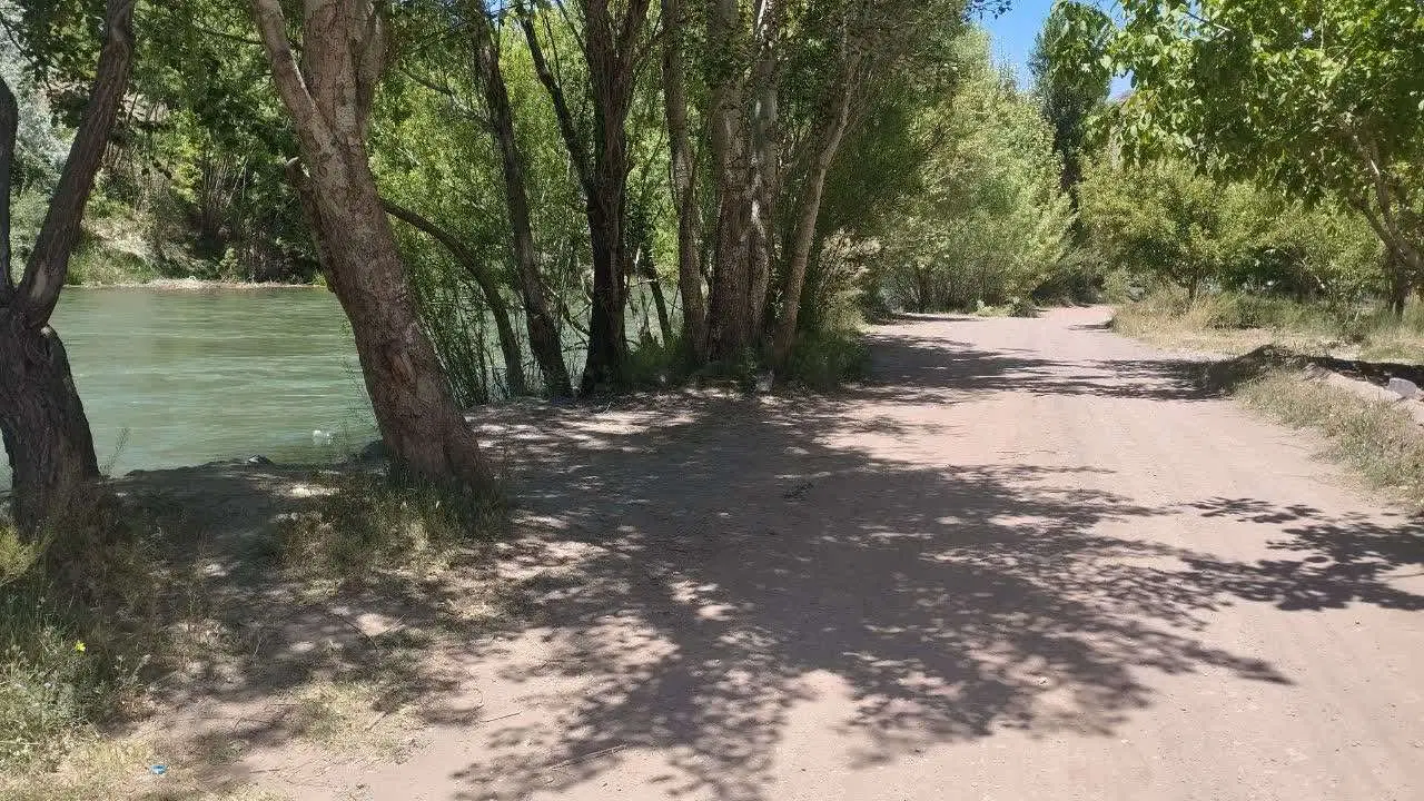 زمین باغ