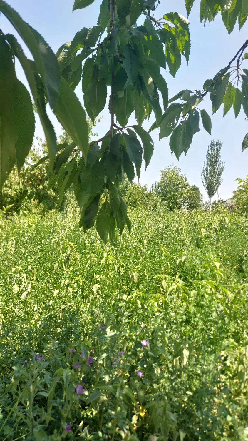 فروش قطعه زمین