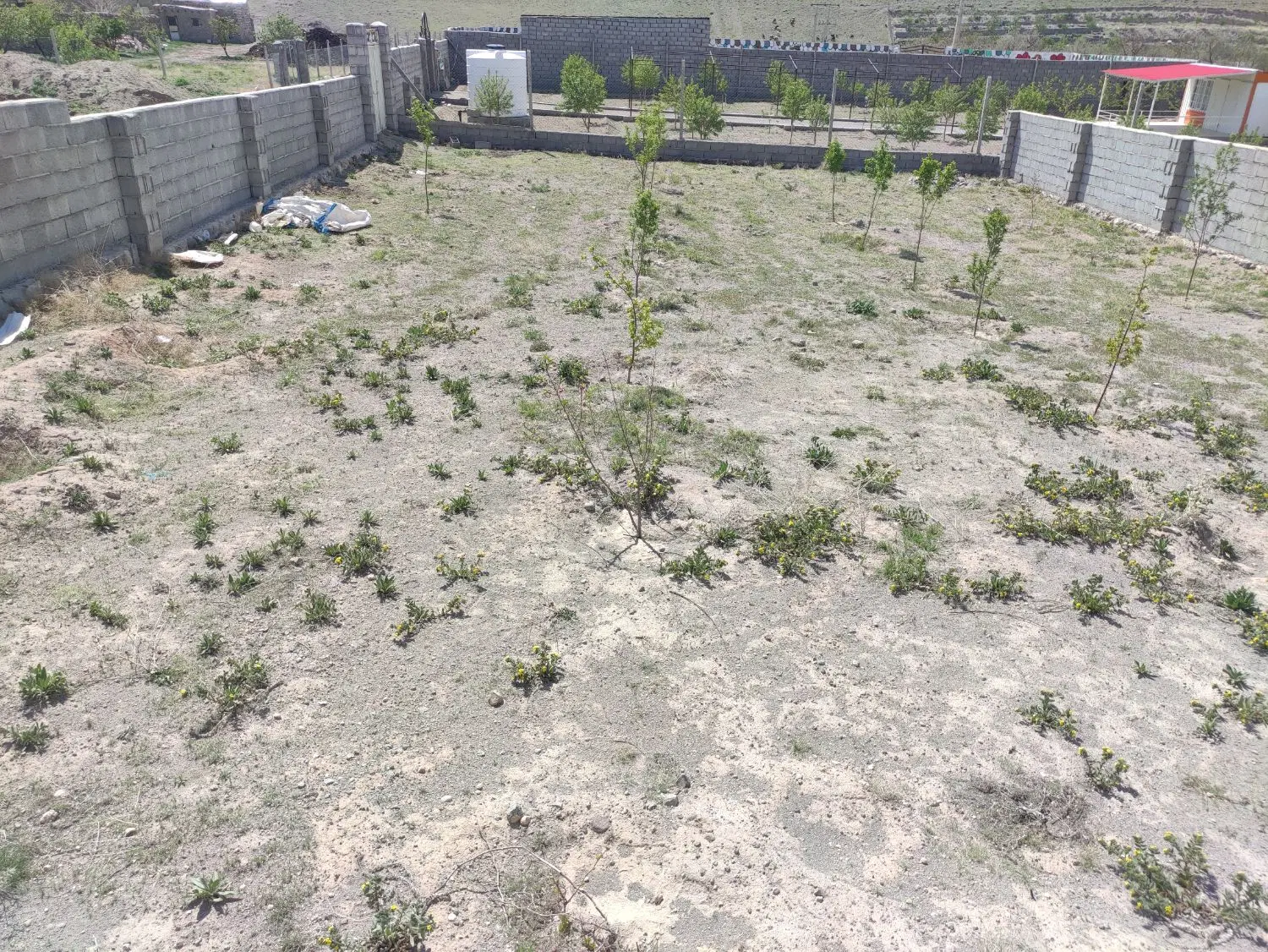 باغات اسکو