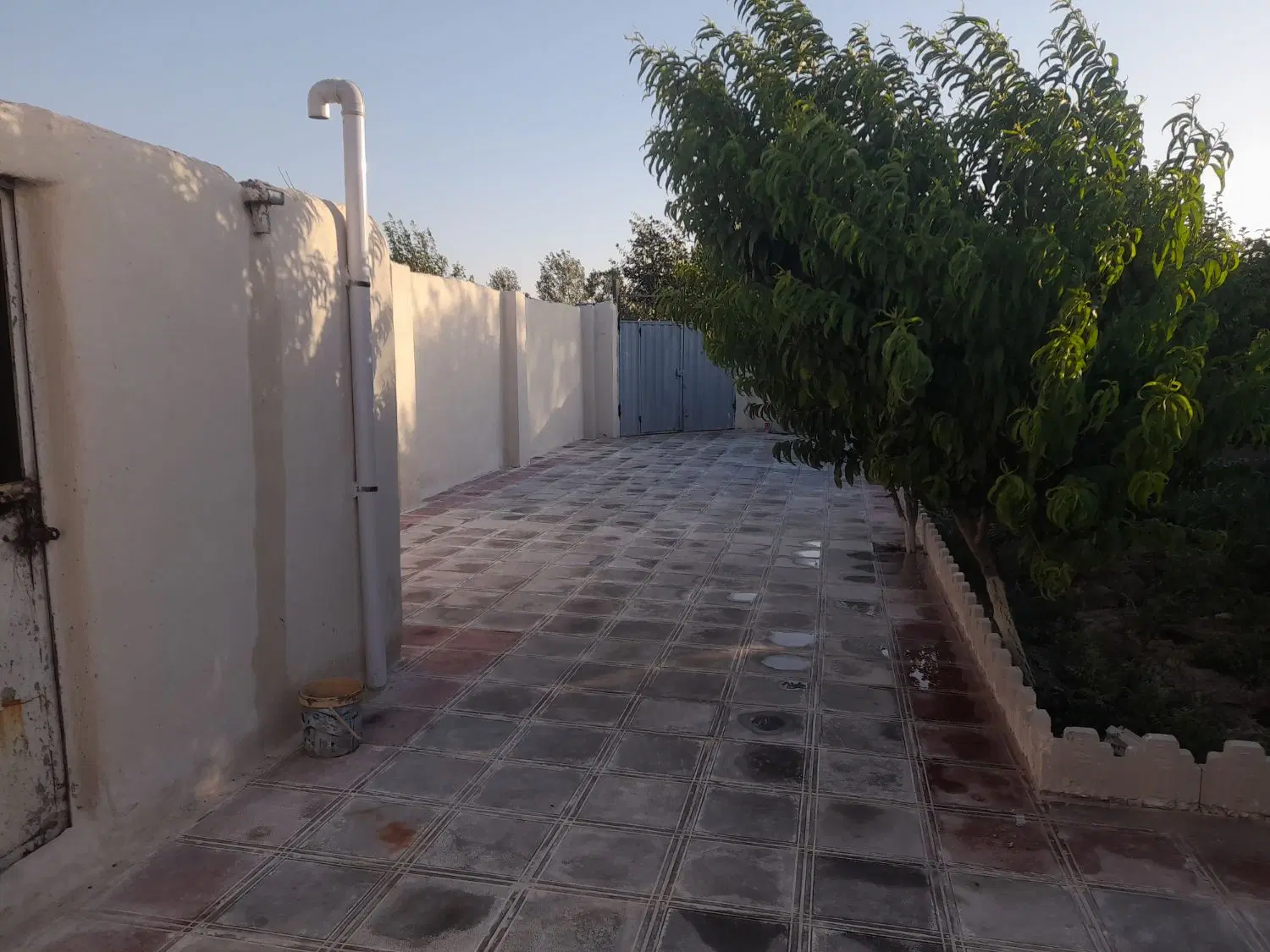 فروش باغ در یوسف ابد صیرفی