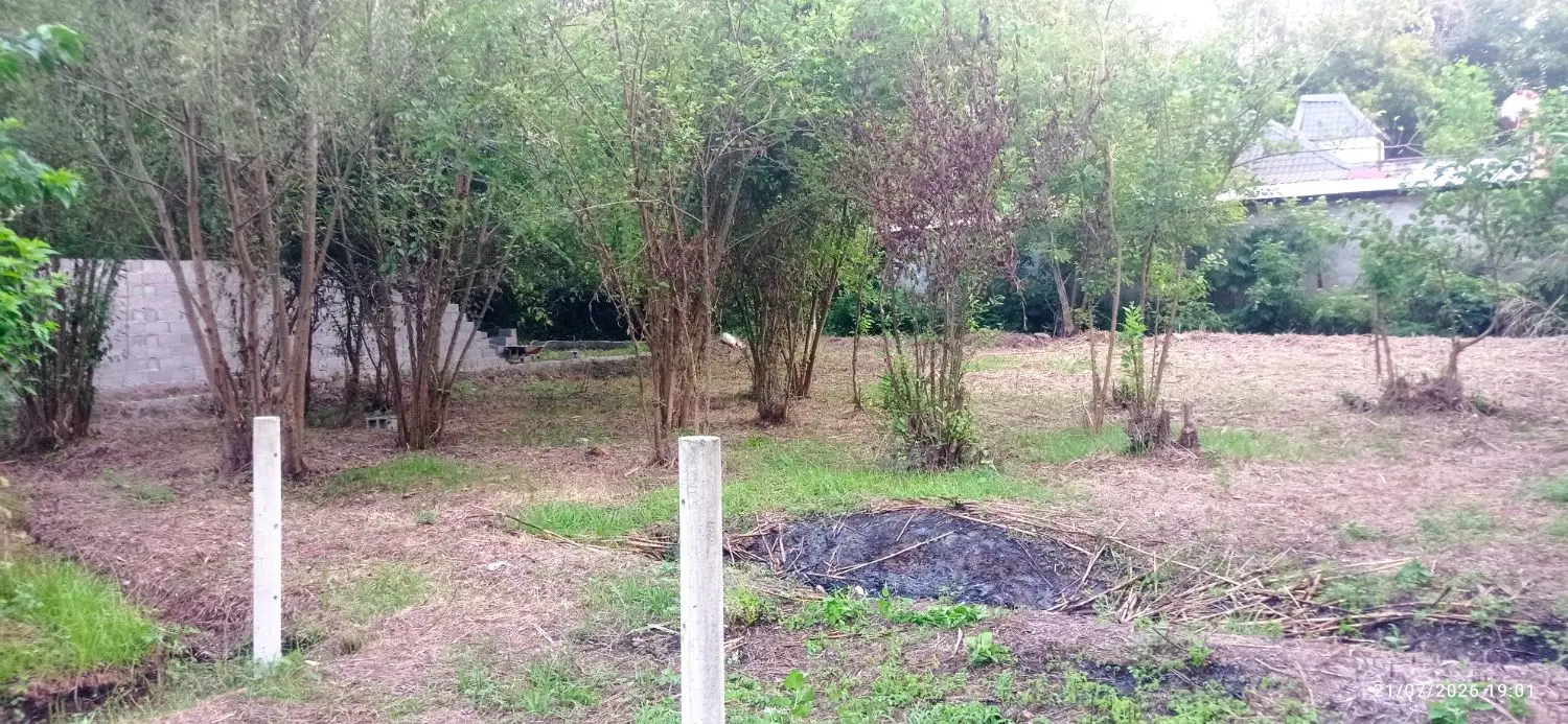 زمین باغی