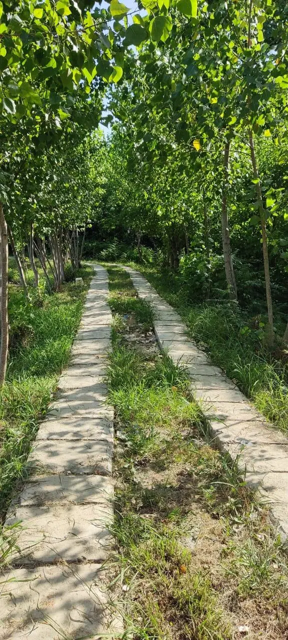 ویلای شخصی در دل طبیعت فومن رودخانه و استخر ماهی