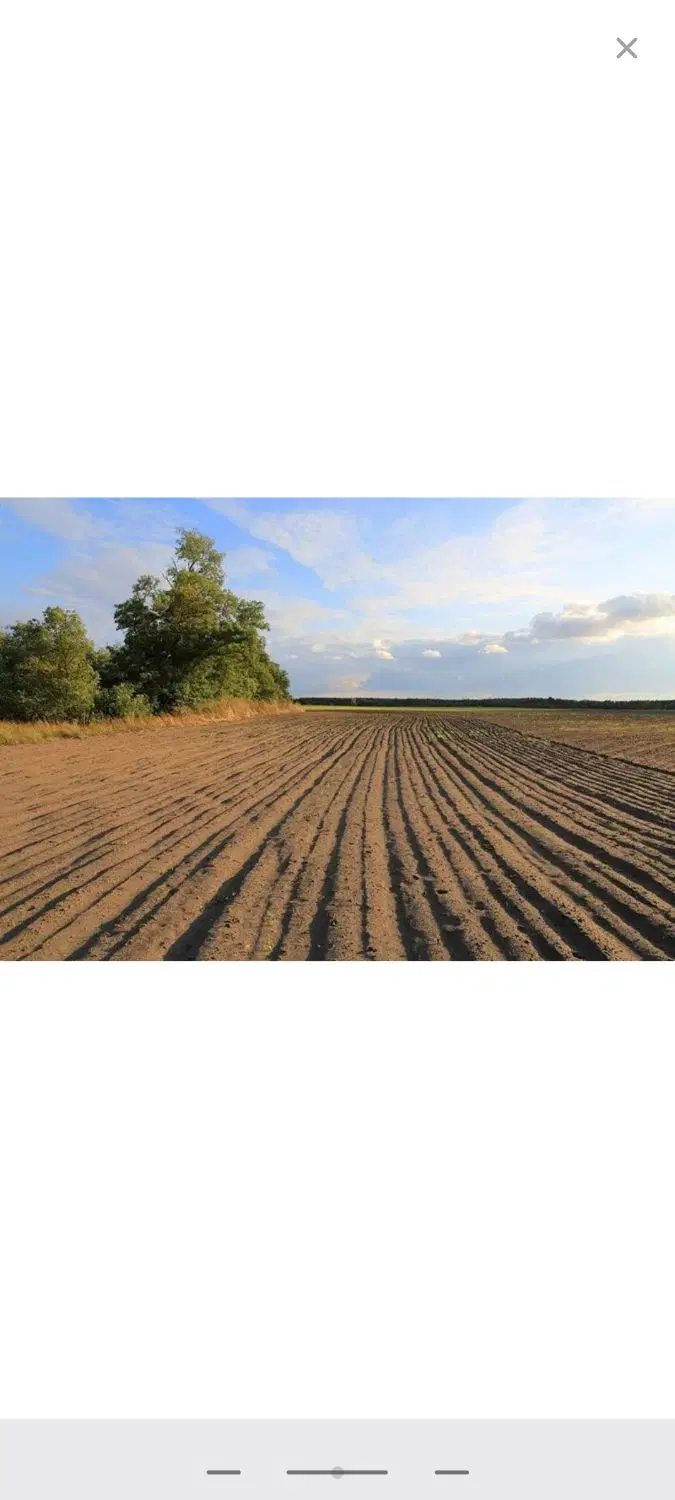 زمین کشاورزی روستای رحمت اباد