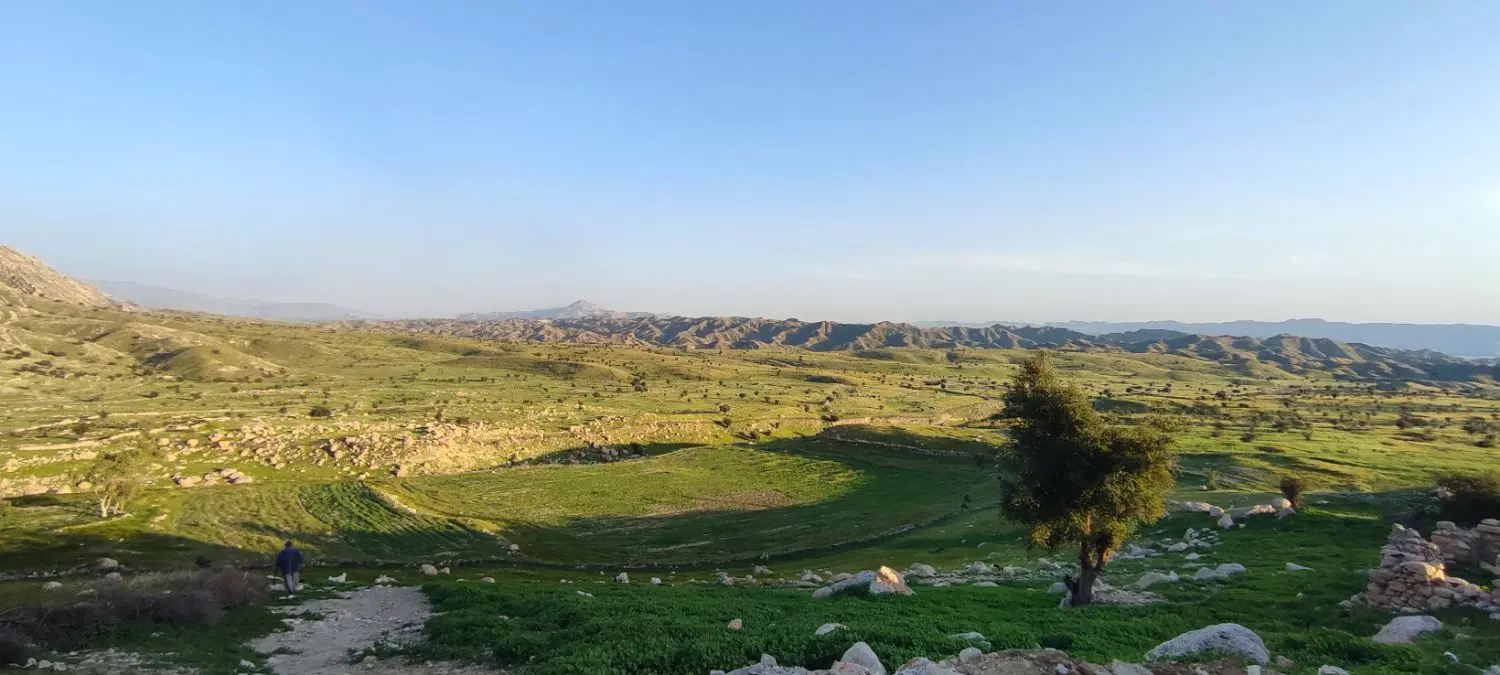 زمین مسکونی